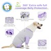 LovinPet Dog Recovery Suit for Large Medium Dogs - Professional