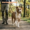 Yternal Professional Dog Martingale & Choke Chain – 3-Way Stainless