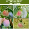 BELEFU Green Mesh Fruit Protection Bags for Fruit Trees, 3.9"