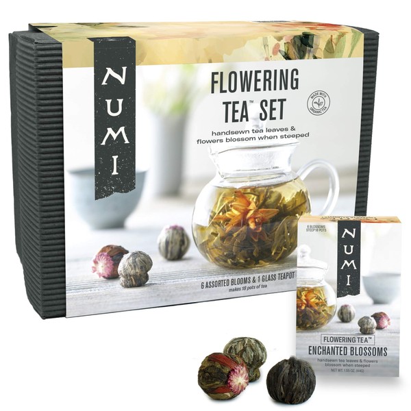 Numi Organic Flowering Tea Gift Set, 6 Handsewn Tea Blossoms & 16-Ounce Glass Teapot, Blooming Tea Flowers