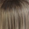 Priscilla CTA-683 All Wig, Grade, Pure Straight, Heat Resistant, CTOG,