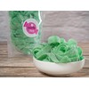 Smarty Stop Sour Gummy candy Strips (Green Apple, 1 Pound)