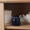 HAOTOP Porcelain Salt Bowl with Lid and Spoon,Ceramic Sugar Bowl