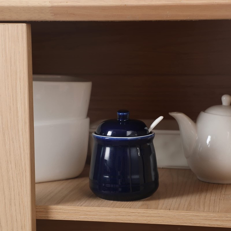 HAOTOP Porcelain Salt Bowl with Lid and Spoon,Ceramic Sugar Bowl
