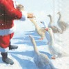 Ideal Home Range 20 Count Cocktail Napkins, Goose and Santa