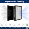 Goodsby 2 Pack Replacement IAF-H-100A True HEPA Filter A Set