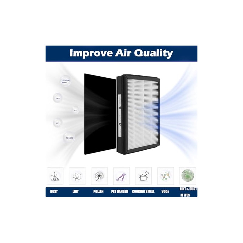 Goodsby 2 Pack Replacement IAF-H-100A True HEPA Filter A Set