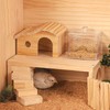 AIMALL Wooden Hamster Platform with Stairs Small Animal Hideout House