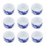 DQITJ 9 Pcs Spider Micro Ceramic Water Bowl, Hermit Crab