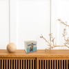 Wooden Coffee Box Money Box with Cute Otter A Colourful