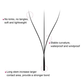 FADVAN 3D W-Shaped Volume Eyelashes, 0.07D Curl, Mixed 8-14 mm Eyelash Extension, Premade Lashes, Fan Eyelash Extensions, 3D W Eyelashes