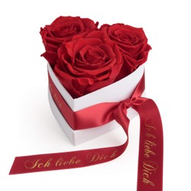 Rosemarie Schulz Heidelberg Infinity Rose Box in Heart Shape with Preserved Roses in Red Valentine's Day Gift