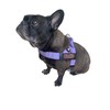 BULLHUG Harness – Made for Larger Chested Dogs Like English