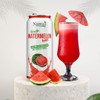 Namai Pure Watermelon Juice, No Added Sugar, 24-Pack
