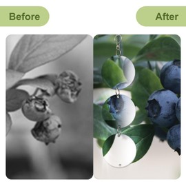 OFFO Reflective Bird Scare Discs Set, 27 PCS Double-Sided Reflective Devices for Outside, Bird Reflectors to Keep Pigeon and Woodpecker Away from Garden or Yard, Porch, Outdoor