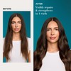 OGX, Shampoo Renovador de Aceite de Argán, 385 ml