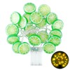 YOLUFER Lemon String Lights 20pcs LED Lights Lemon Slice Battery