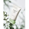 [Renewal] Madagascar Centella Teatrica B5 Cream 75ml / [리뉴얼]마다가스카르 센텔라
