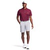 IZOD Men's Classic Performance Golf Grid Polo, FIG, XL