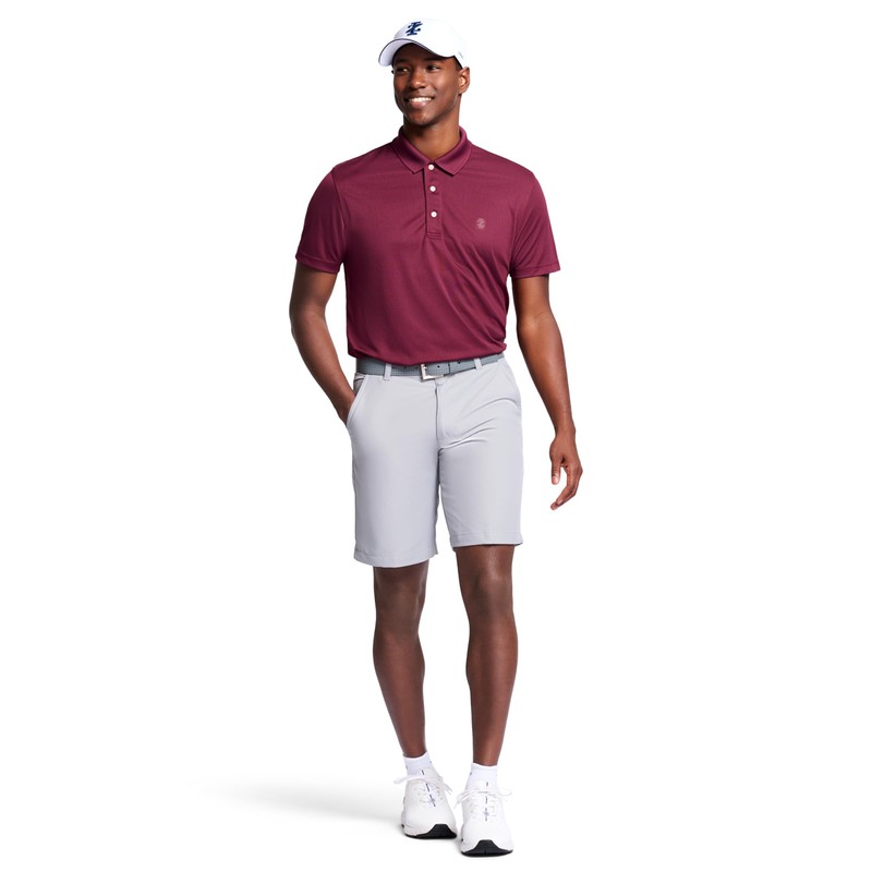 IZOD Men's Classic Performance Golf Grid Polo, FIG, XL