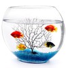 Okllen Mini Glass Fish Bowl, Oblate Small Fish Tank with