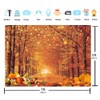 WR Autumn Maple Forest Backdrop Fall Harvest Maple Leaves Pumpkin