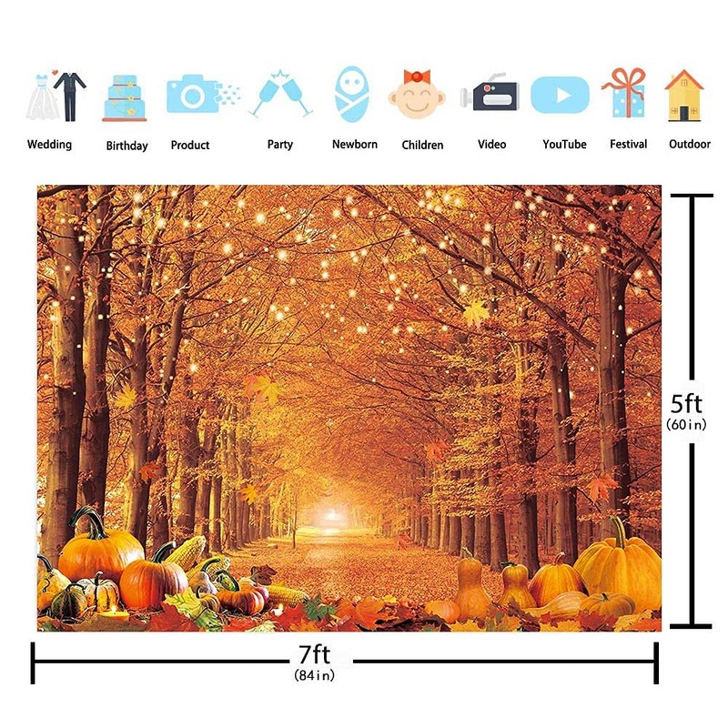 WR Autumn Maple Forest Backdrop Fall Harvest Maple Leaves Pumpkin
