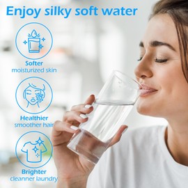 Time Type 5600SXT Water Softener Control Head, 110V Water Softener System Filter Control Head, Electronic Water Softener Valve, Inlet/Outlet DN25, Complete Accessories