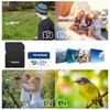 TEWENE TF Card, 64GB 2-Pack Memory Card, Micro Card, High