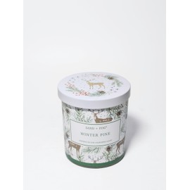 Sand + Fog Scented Candle - Winter Pine – Additional Scents and Sizes – 100% Cotton Lead-Free Wick - Luxury Air Freshening Jar Candles - Perfect Home Décor with Metal Lid – 11.5 oz