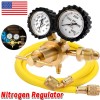 Unbranded Professional Nitrogen Regulator w/ Hose 0-800 PSI Output Pressure
