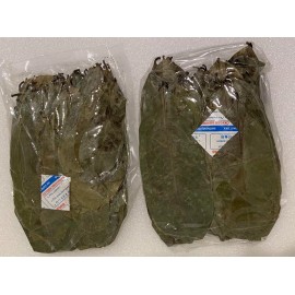 KAHIDJI ORGANIC Soursop  Guanabana Leaves for Tea 120 gram (more 300 leaves)