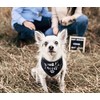 Big Brother - Bandana reversible para perro, diseño triangular, Negro