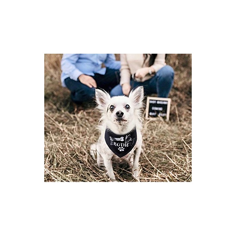 Big Brother - Bandana reversible para perro, diseño triangular, Negro