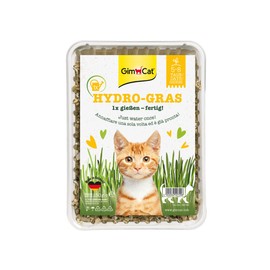 GimCat Hydro-Gras - Frisches Katzengras aus kontrolliertem Feldanbau in nur 5 bis 8 Tagen - 1 Schale (1 x 150 g)