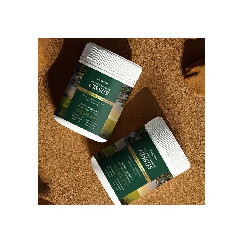 Select Fit Cissus Powder 50x Concentrate Caesars 300g / 셀렉트핏