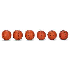 Raz Imports Pomanders - Set of 6 (4002263)