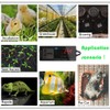 Reptile Terrarium Thermostat Controller, NEKOSUKI Upgrade Digital LED Temperature Controller