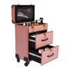 lkoewqzamx Professional Rolling Makeup Trolley Case, Train Case Box, Organizer
