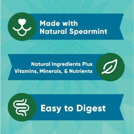 Greenies Anytime Bites Dog Treats, Mint Flavor, 10.3 oz. Bag