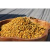 Fresh Bee Pollen Raw Nebraska Bee Pollen 1.5lb Jar