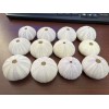 12 PCS PURPLE URCHIN SEASHELL WEDDING FAVOR DECOR NAUTICAL