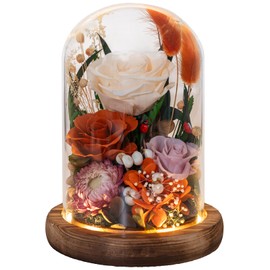HUACHIPLUS Forever Flowers with Symbolic Ladybugs: Preserved Flowers Gift for Women-Romantic Table Centerpiece-Valentines, Anniversary, Mom Gifts for Her-Flowers for Delivery Prime (Orange)
