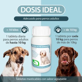 Ruiland Geriapet Suplemento Especializado Para Perros Mayores 60 Tabletas