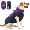 Queenmore Warm Fleece Dog Jacket, Cold Weather Waterproof Snowsuit, Reflective