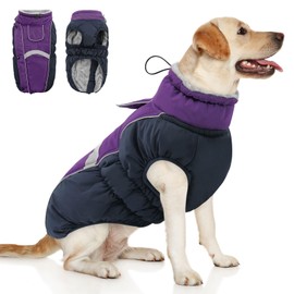Queenmore Warm Fleece Dog Jacket, Cold Weather Waterproof Snowsuit, Reflective Turtleneck with Leash Hole, Small to Large Dog Coats (Purple, L)