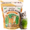 Seedboy Organic Cat Grass Seeds for Planting, Non-GMO Wheat, Oat,