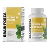 Brain Forza Lemon Balm R5 Extract Capsules - Standardized Extract
