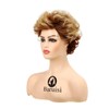 Baruisi Short Brown Pixie Wigs for Women Natural Looking Layered