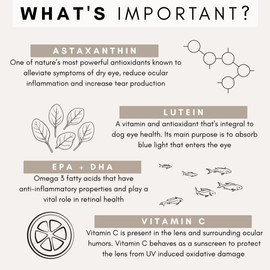 Petz Park Eye Support for Dogs - Made in Australia - Cataracts in Dogs, Dog Conjunctivitis, Dog Eye Infection Supplement - 90g